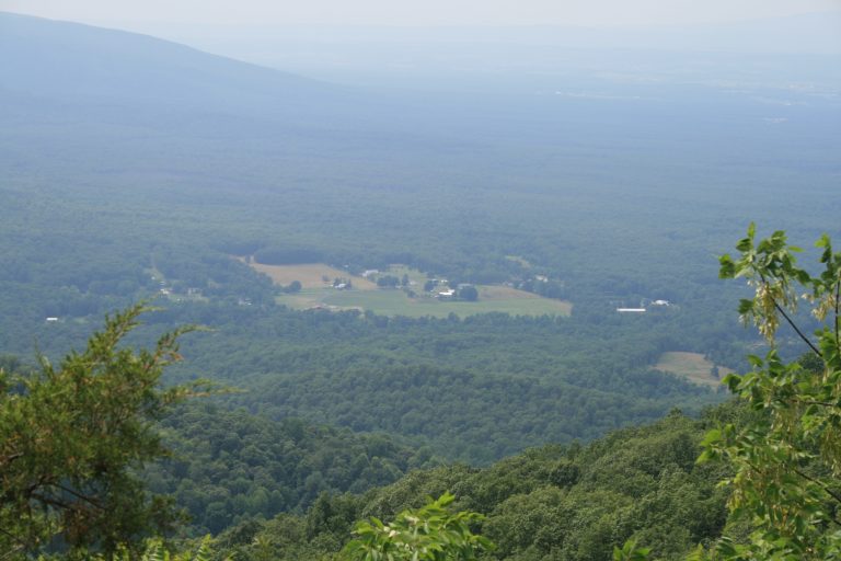 After the Rain Isn’t Just a Collection, It’s a Shift