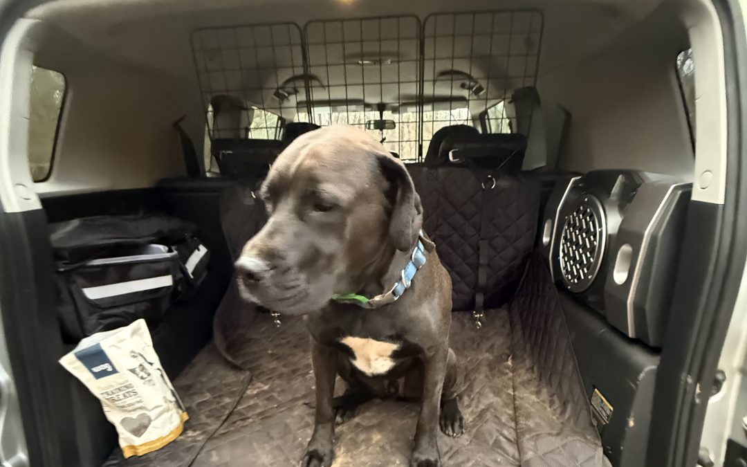 On Letting Go of What Still Works