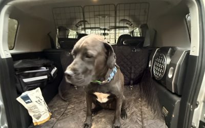 On Letting Go of What Still Works