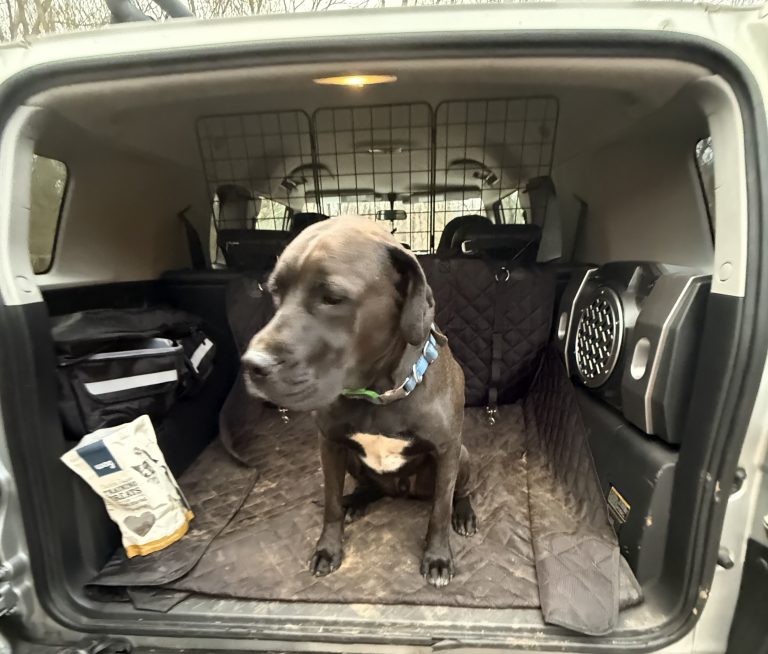 On Letting Go of What Still Works