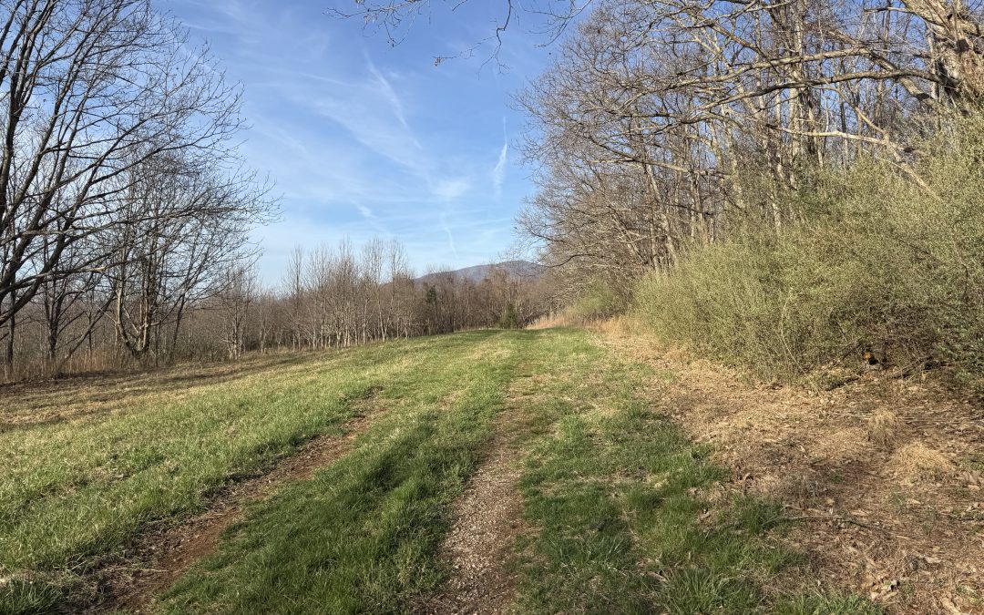 After the Rain Isn’t Just a Collection, It’s a Shift