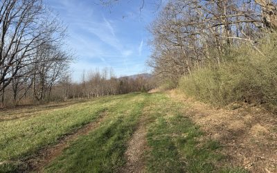 The Way I See the Trail Has Changed