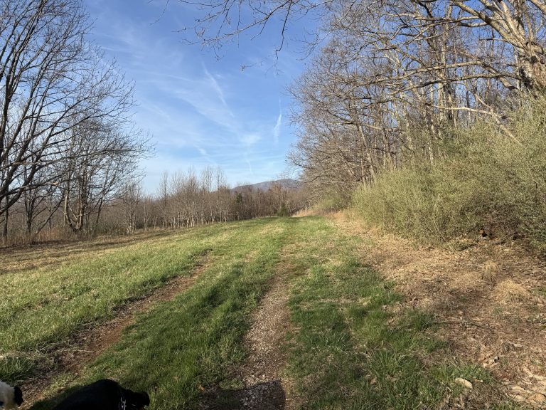 The Way I See the Trail Has Changed