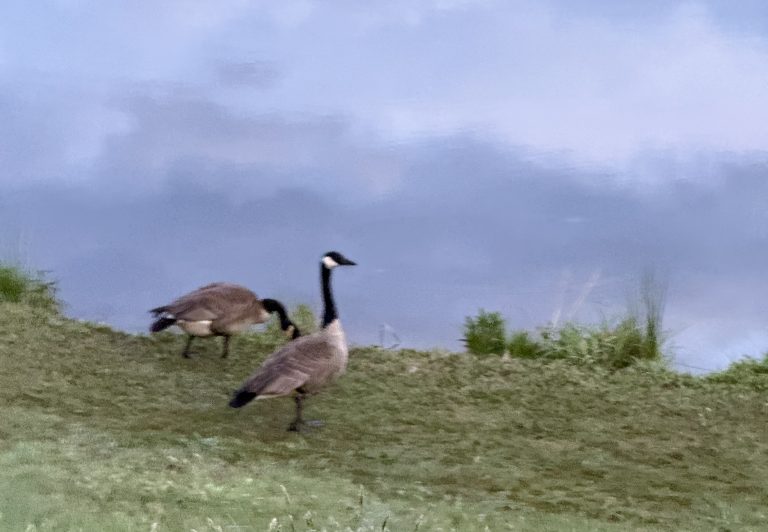 You’re Not Behind. You’re Just Looking Sideways.