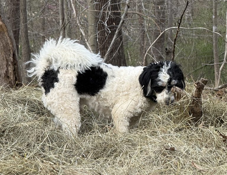 Healing Isn’t Always Dramatic (Sometimes It’s Quiet)