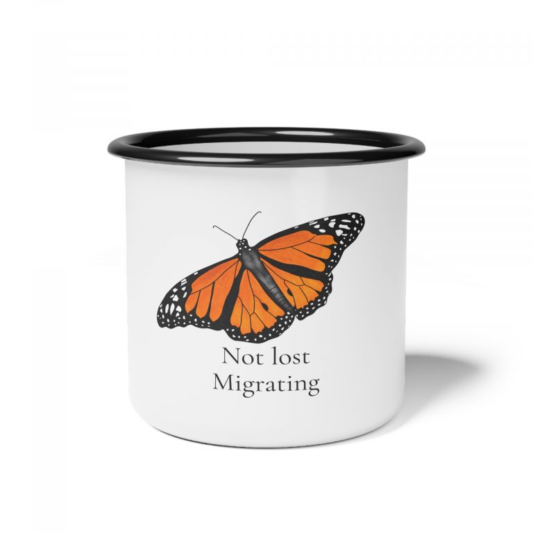 How a Single Butterfly Became an Entire Collection