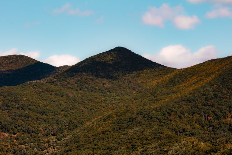 Breathtaking view of lush mountains under a clear blue sky in Asheville, NC.