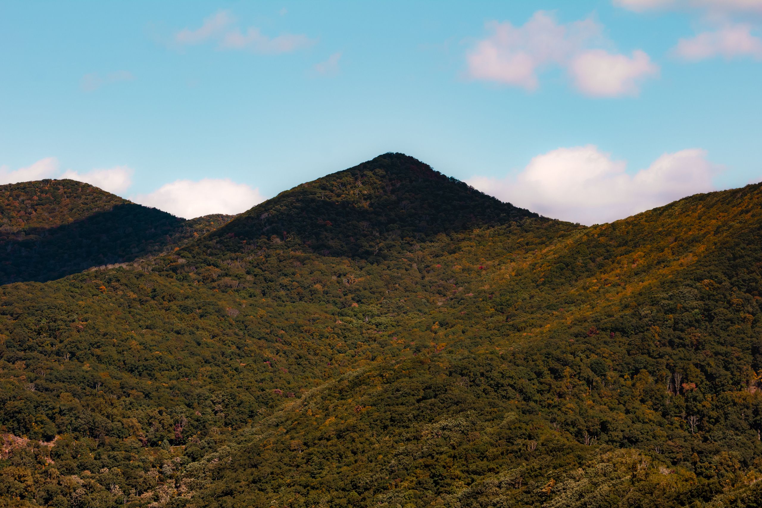 Breathtaking view of lush mountains under a clear blue sky in Asheville, NC.