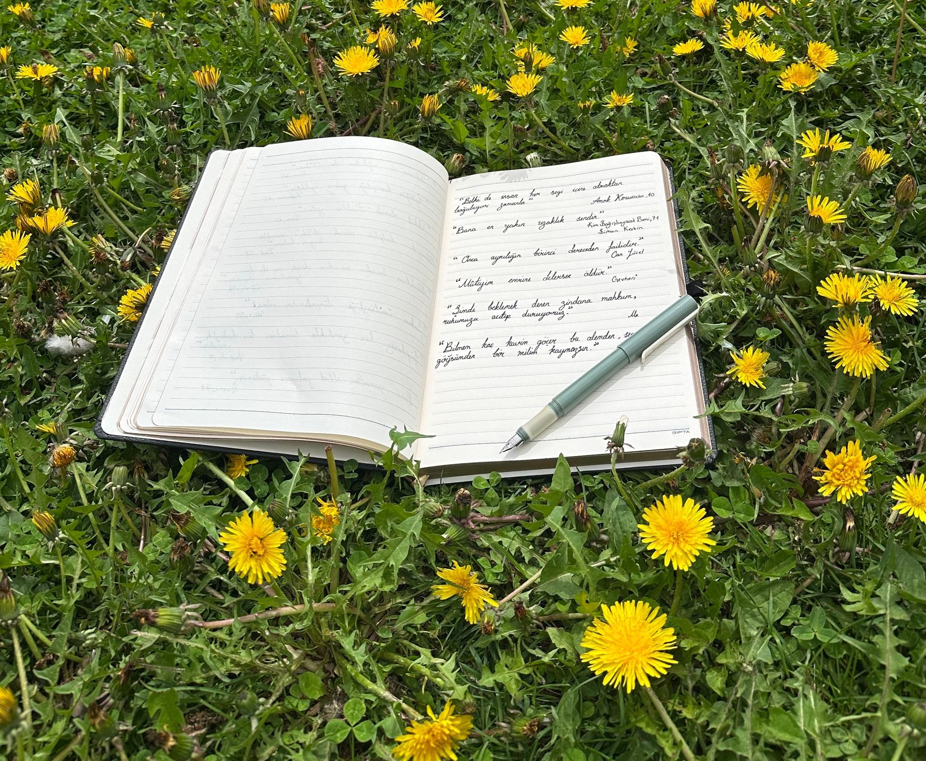 An open notebook with handwritten notes lies on grass surrounded by blooming yellow dandelions.